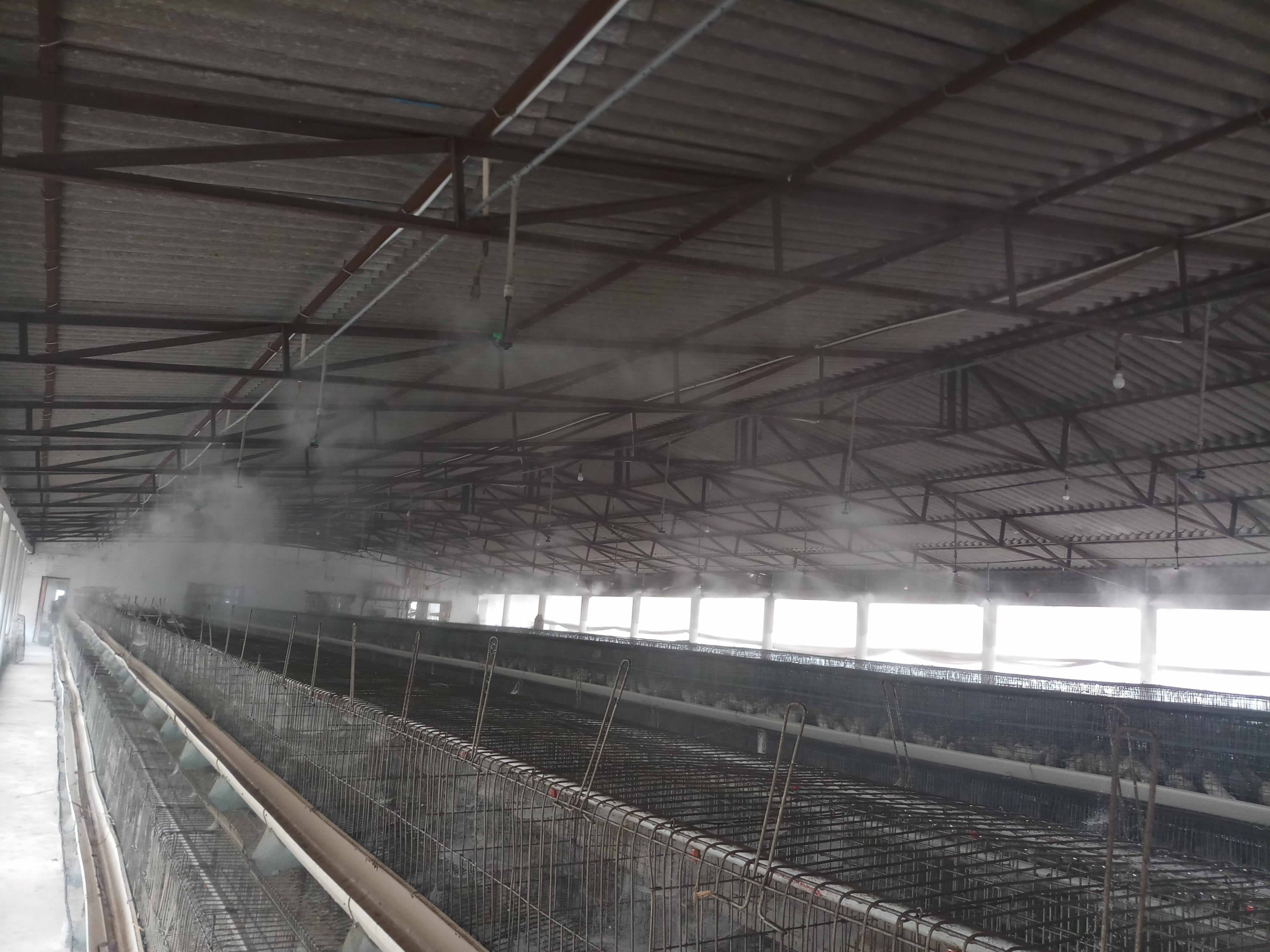 Irrigation Systems for Poultry & Cowsheds