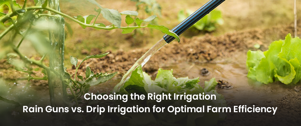 Choosing the Right Irrigation Rain Guns vs. Drip Irrigation for Optimal Farm Efficiency