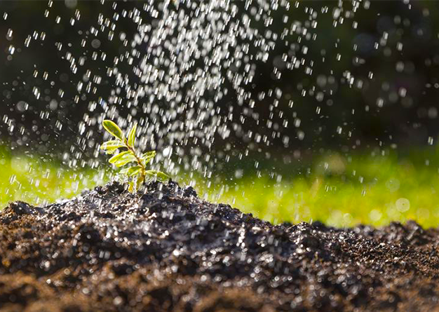 Understanding Rain Gun Irrigation System