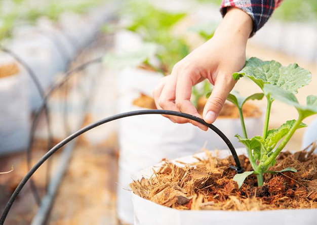 Understanding Drip Irrigation System