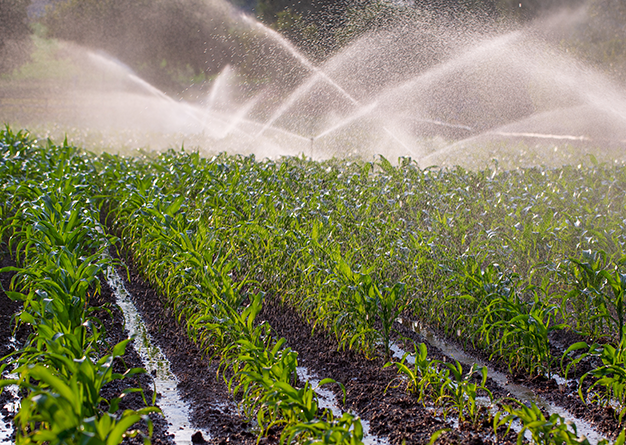 Technical Insights on Indian Irrigation Systems 